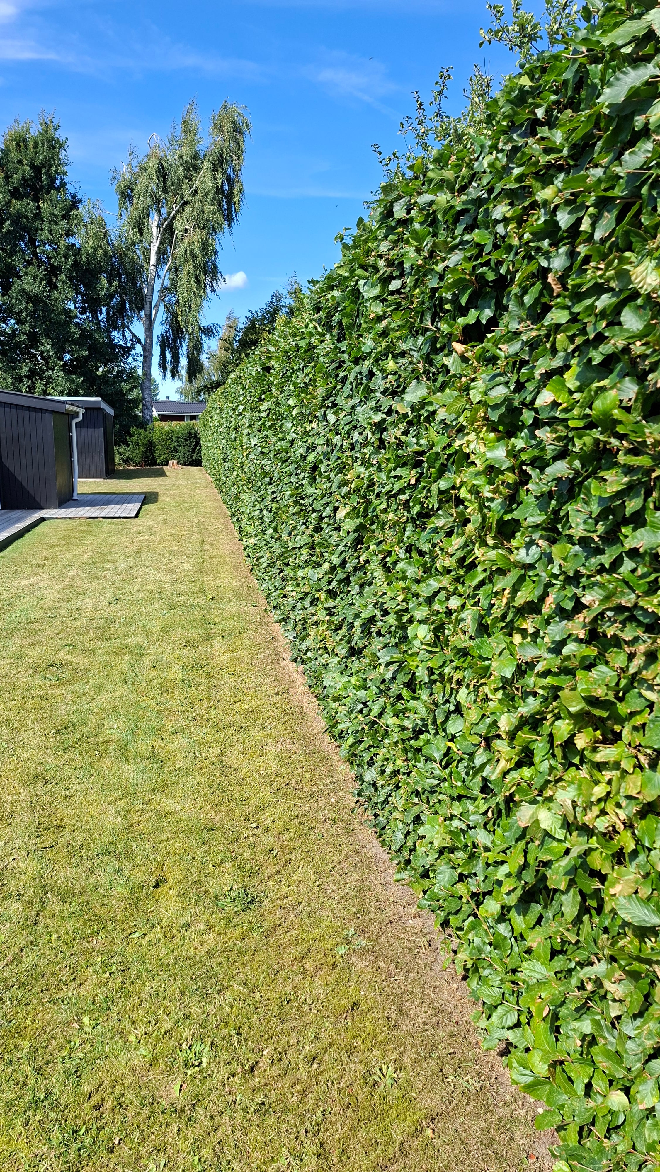 WERKO sommerhus Tisvilde WERKO sommerhus Tisvilde